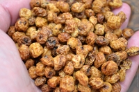 Tigernuts