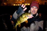 Kvällens största abborre