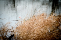 Pencil float