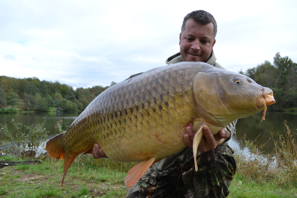 49lbs common