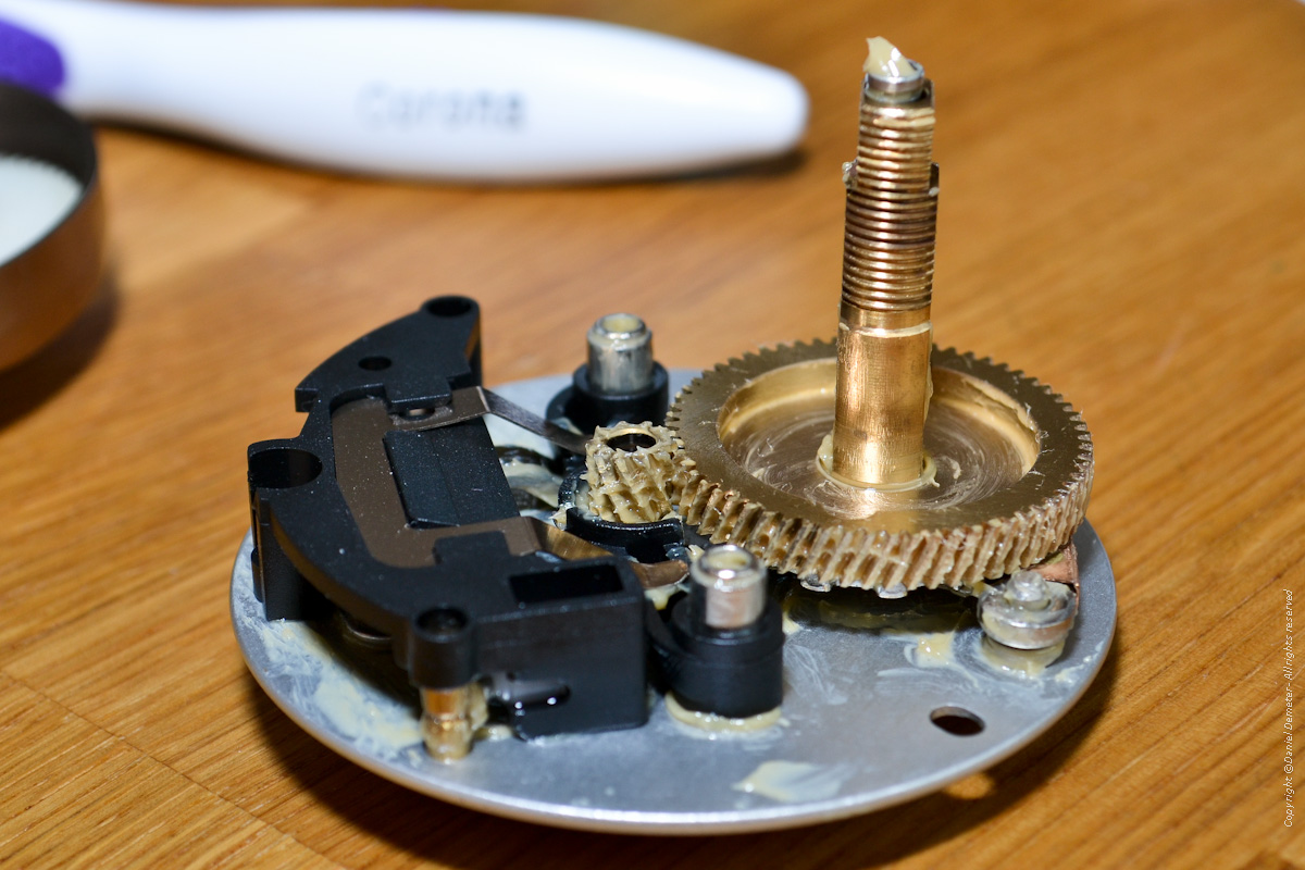 Ambassadeur Predator